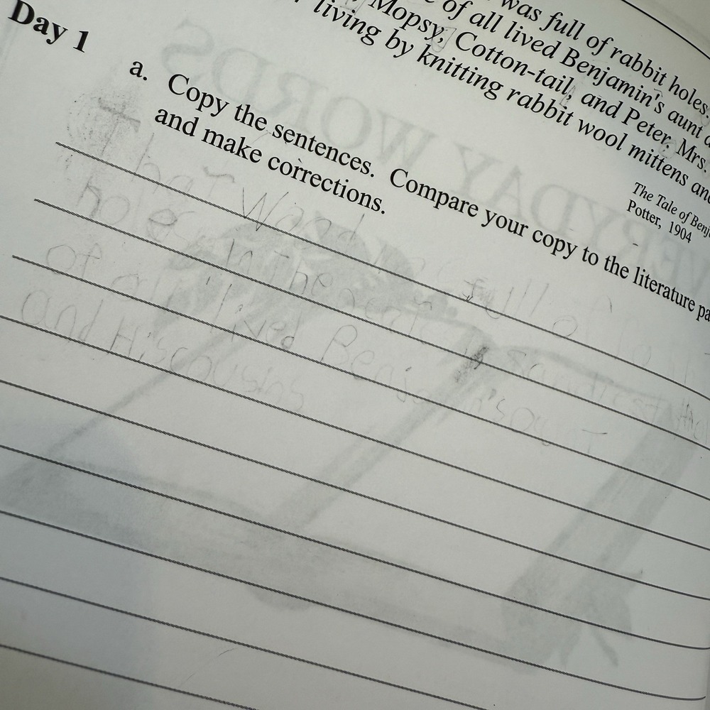 Learning Language Arts Through Literature, The Yellow Book, Student + Teacher - Picture 16 of 17